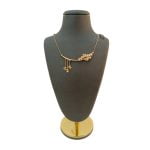 گردنی پرنسا